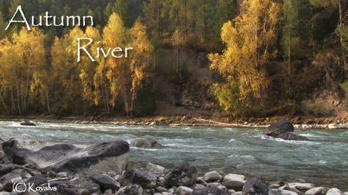 River And Autumn Forest
