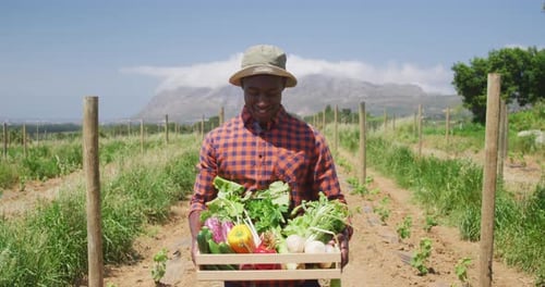 Happy Farmer Holding Fresh Vegetables in Field