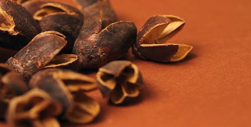 Shell Nuts