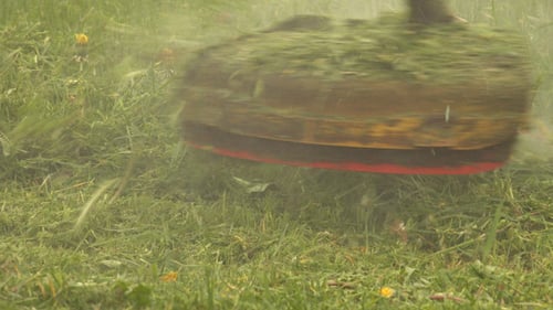 Grass Trimmer