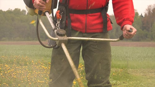 Grass Trimmer