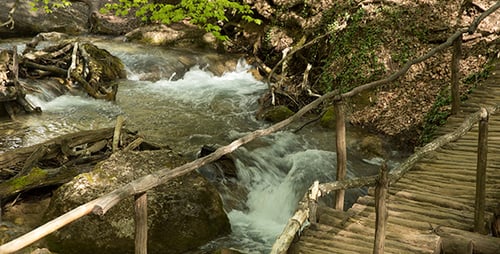 Mountain River Flowing in the Canyon