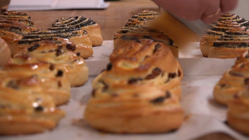 Raisin Bun
