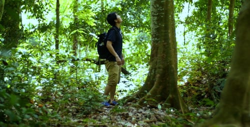 Asiatischer Wandermann schaut auf einen Baum