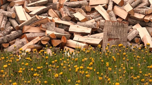 Firewood