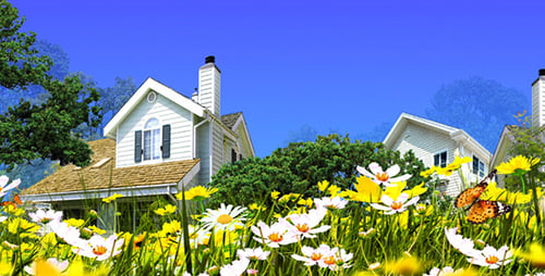 Architecture and Nature 1