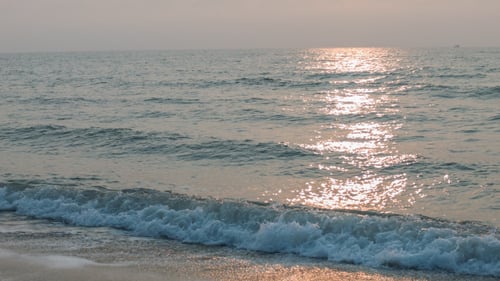 Sunny Reflections And Sea Wave