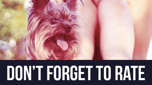 Romantic Slides // Liquid Opener