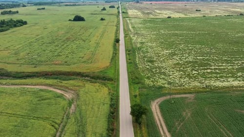 Asphalt Road Through Green Summer Field