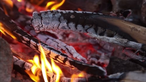 Bonfire, Campfire