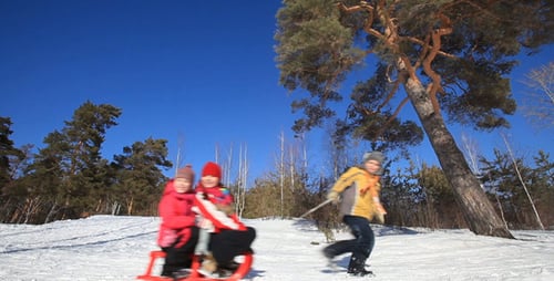 In winter forest