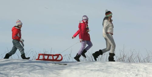 Family with sleds