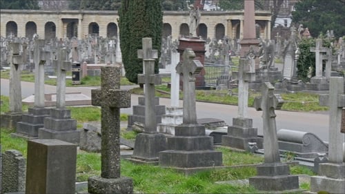 The View of the Cemetery with All the Gravestones