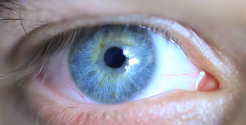 Yeux bleus