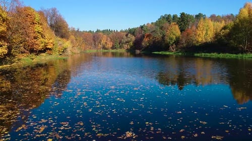 Buntes Herbstwald-Holz auf dem See