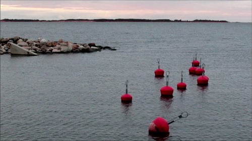 Buoy Floating Near the Shore
