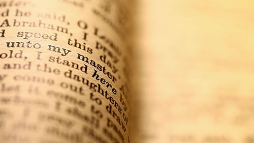 Old Holy Bible 488