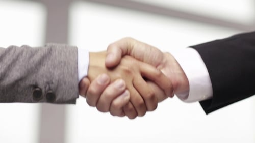 Business Handshake Close Up in Bright Office