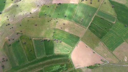 Sparse Trees in Green Fields
