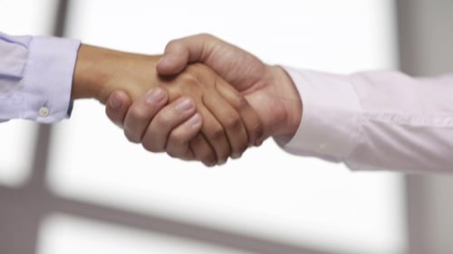 Professional Handshake Between Colleagues in Bright Light