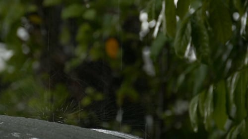 Rain Falling On A Car Roof