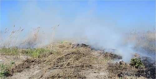 Fire 5