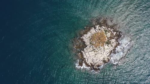 Island of Freedom