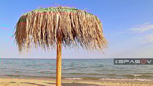 Beach Umbrella