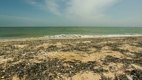 Beach And Waves On The Coast