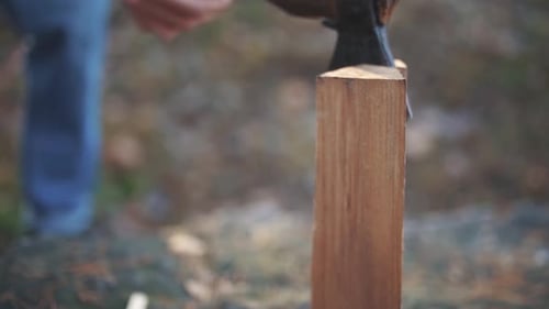 Axe Chopping a Log Close Up