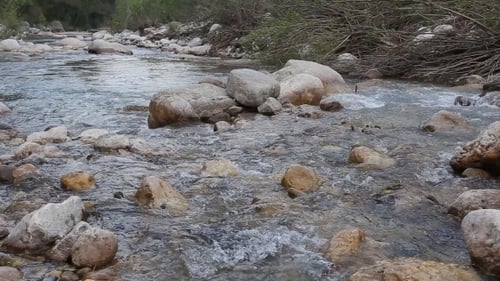 Mountain River Flowing Through The Green Forest