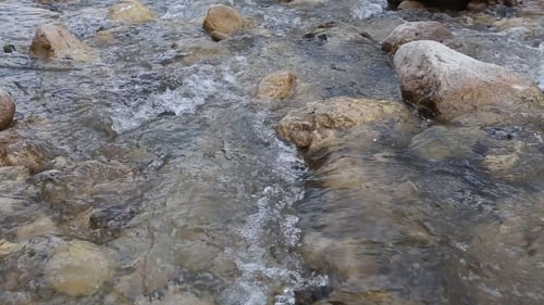 Mountain River Flowing Through The Green Forest