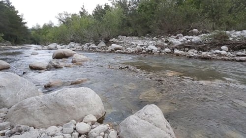 Mountain River Flowing Through The Green Forest