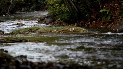 Water Stream Flowing White Water