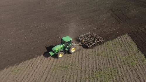 Tractor plows the ground with a plow in the field