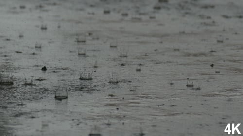 Regnerischer Tag