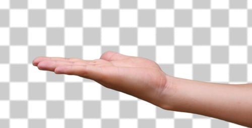 Hand Palm