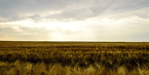 Sturm dunkle Wolken über Feld