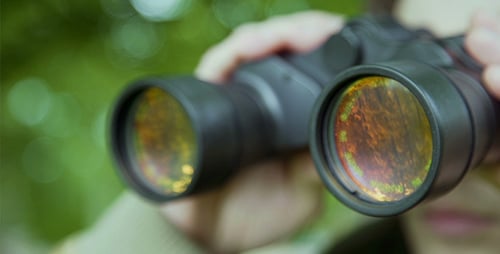 Person Using Binoculars Outdoors for Nature Observation