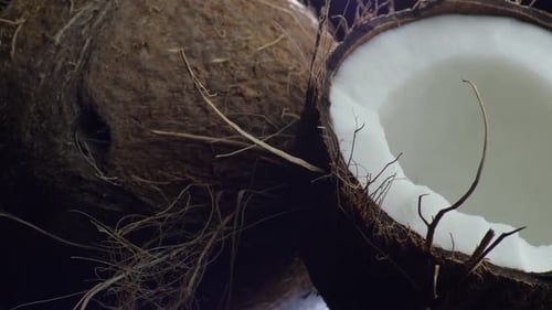 Kokosnussfrucht mit schwarzem Hintergrund