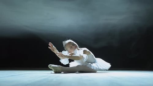 Little Ballerina Dancing