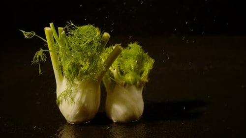 Water drizzling on fennel, Ultra Slow Motion