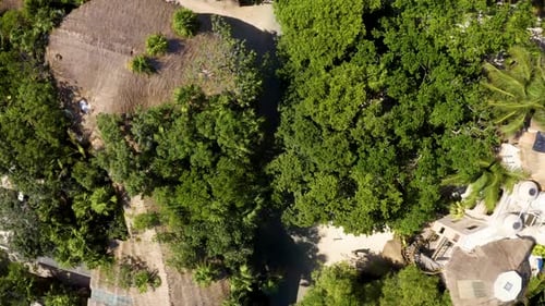 Birds-Eye View of Tropical Resort with Lush Trees