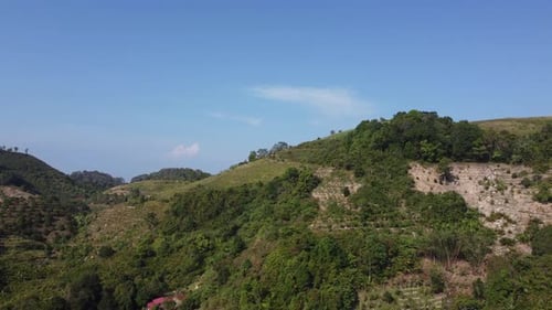 Plantação com vista aérea na encosta da colina