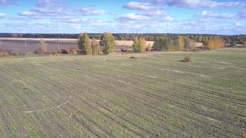 Aerial View Car fährt auf Bodenstraße zwischen Feldern