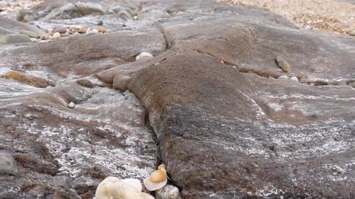 Beach Rock Detail