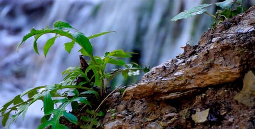 Waterfall