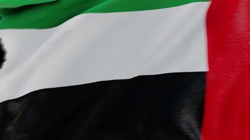 Realistic United Arab Emirates Flag Waving Animation