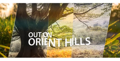 Dynamic Photo Slideshow with Prism Transitions