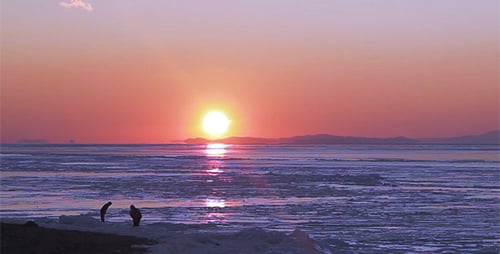 Frozen Sea and Sunset